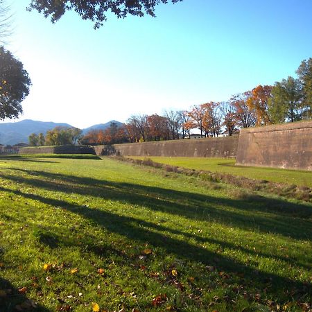 Appartamento Via Grandi - Free Gated Parking - 5 Minutes From Center Lucca Kültér fotó